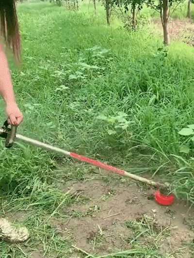 31bf0884a065ef53c1108d4443816999.gif