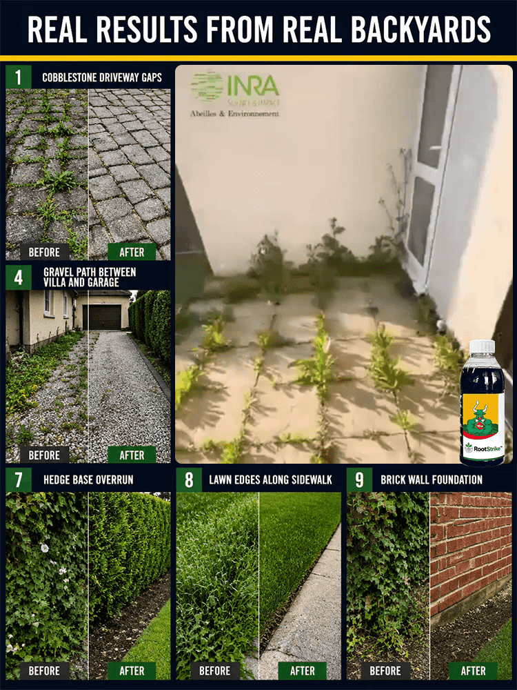 🌿 【50+ Stubborn Weeds】Fast-acting herbicide-8x faster, destroys to the root, zero regrowth
