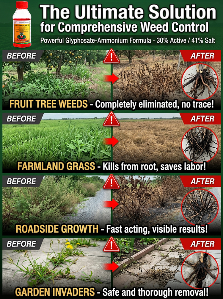【EcoGuard Formula】🍃BioWeedZero™ - 🛡️Herbicide and root rot control agent！♻️99% Elimination in 3 Hours, ⚡Pet & Kid Safe!！Half Dose, Double Impact. 5-Year Weed Protection！🏅