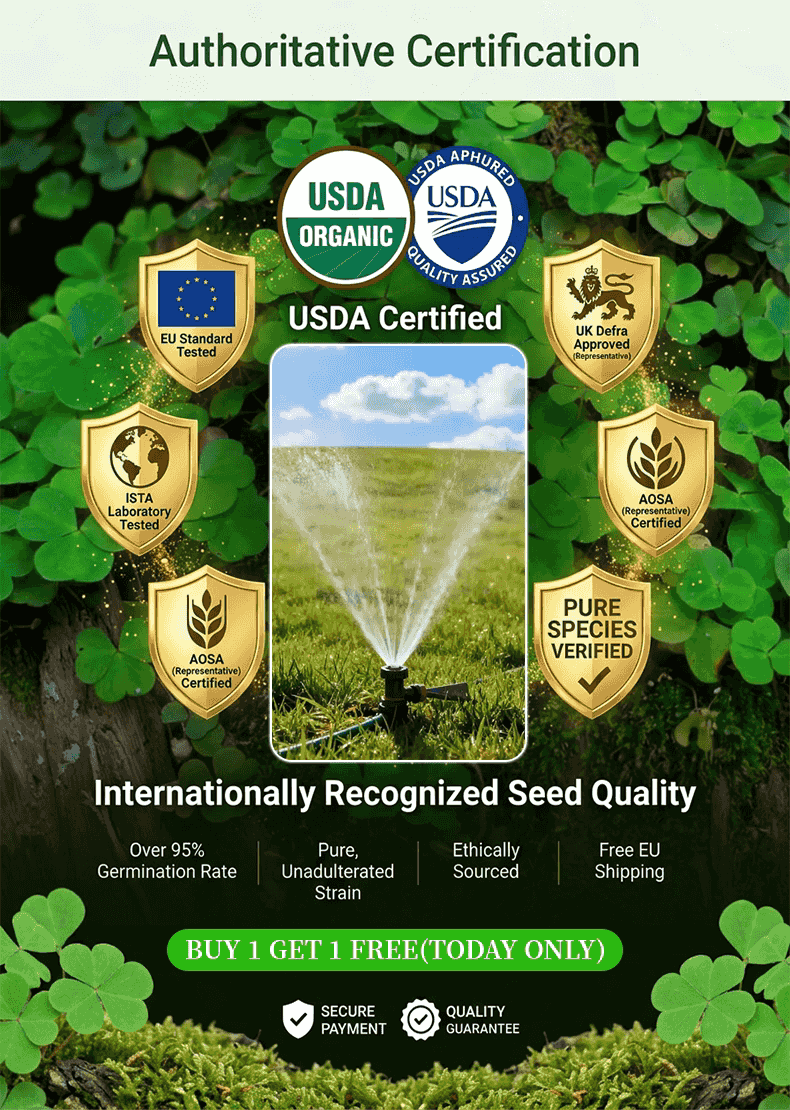 [5-7 days to germinate] 🛡️【USDA Certified】🍀 Buy 1 Get 1 FREE Today Only！GreenForever™ - Drought-Resistant, Self-Sustaining!