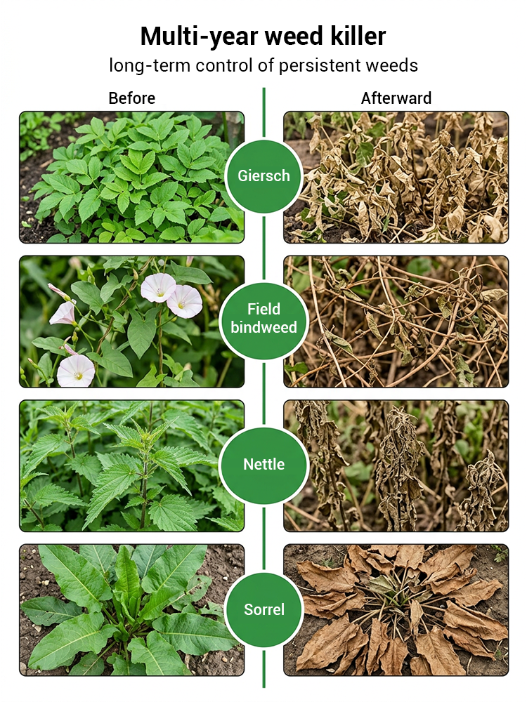 🔥【10x refund if ineffective】⚡ Ultimate Pro Weed Killer Concentrate: Visible Results in 3 Hours🏅10-Time Global Award Winner. Farm-to-Backyard Ready.