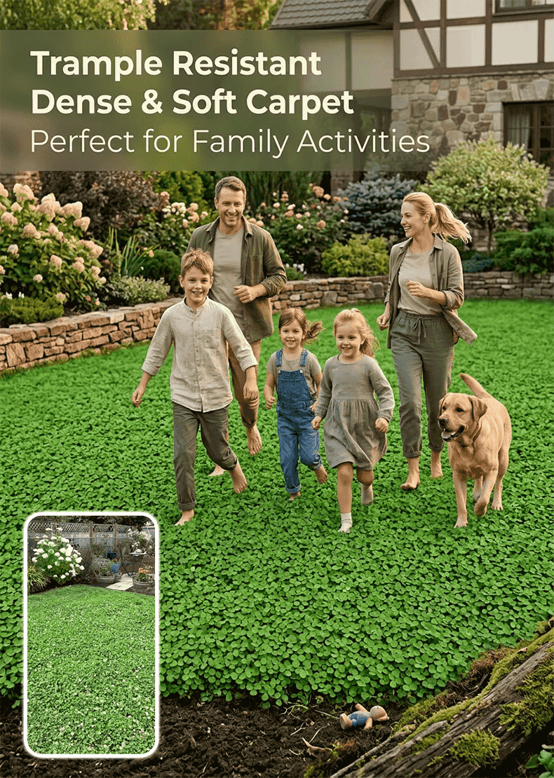 [5-7 days to germinate] 🛡️【USDA Certified】🍀 Buy 1 Get 1 FREE Today Only！GreenForever™ - Drought-Resistant, Self-Sustaining!