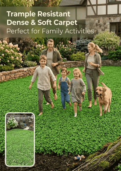 [5-7 days to germinate] 🛡️【USDA Certified】🍀 Buy 1 Get 1 FREE Today Only！GreenForever™ - Drought-Resistant, Self-Sustaining!