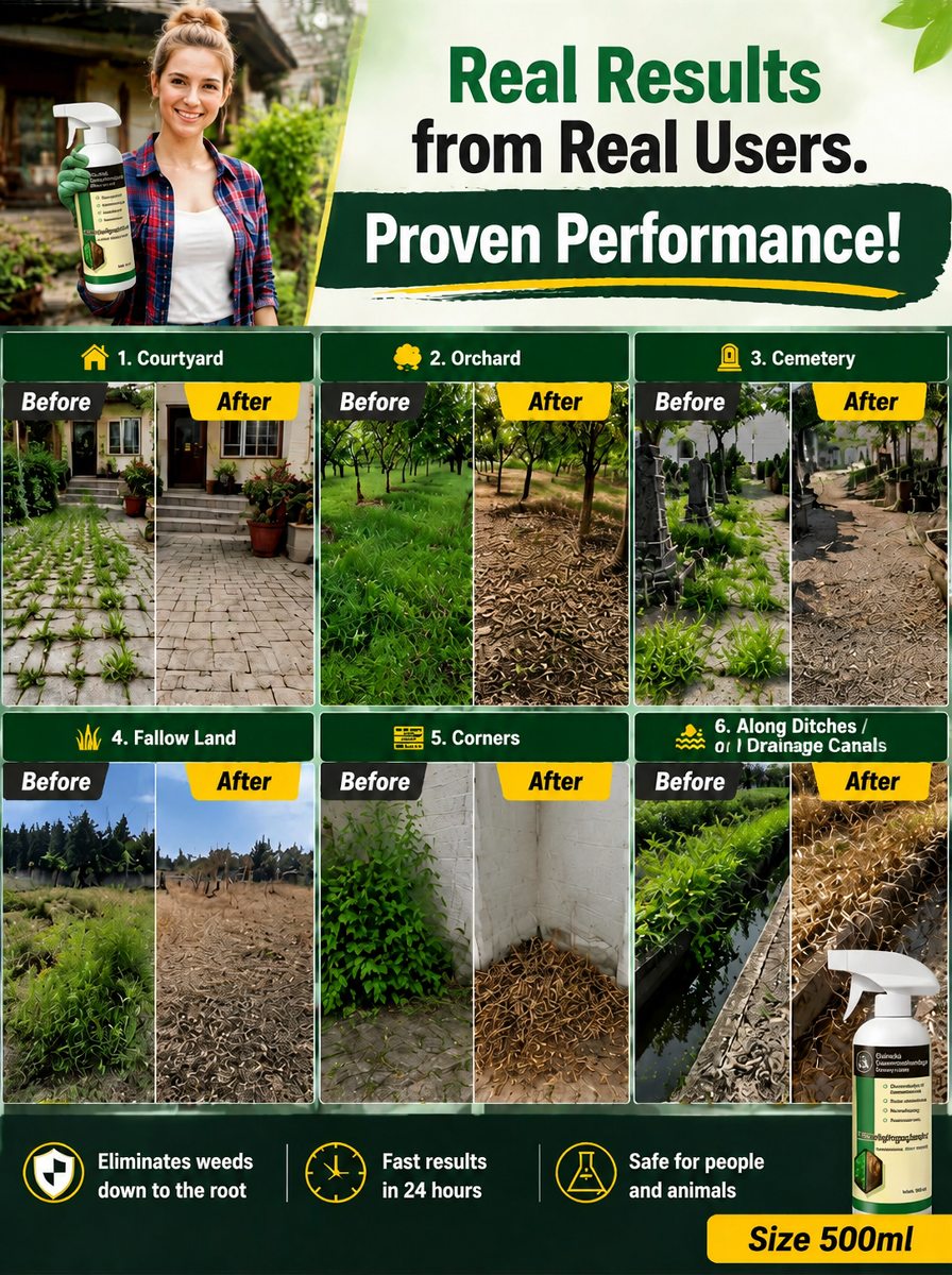【Weed & Feed】🌿Weeds and miscellaneous bamboo, all sprayed clean - Contains calcium nitrate to nourish plants while weeding