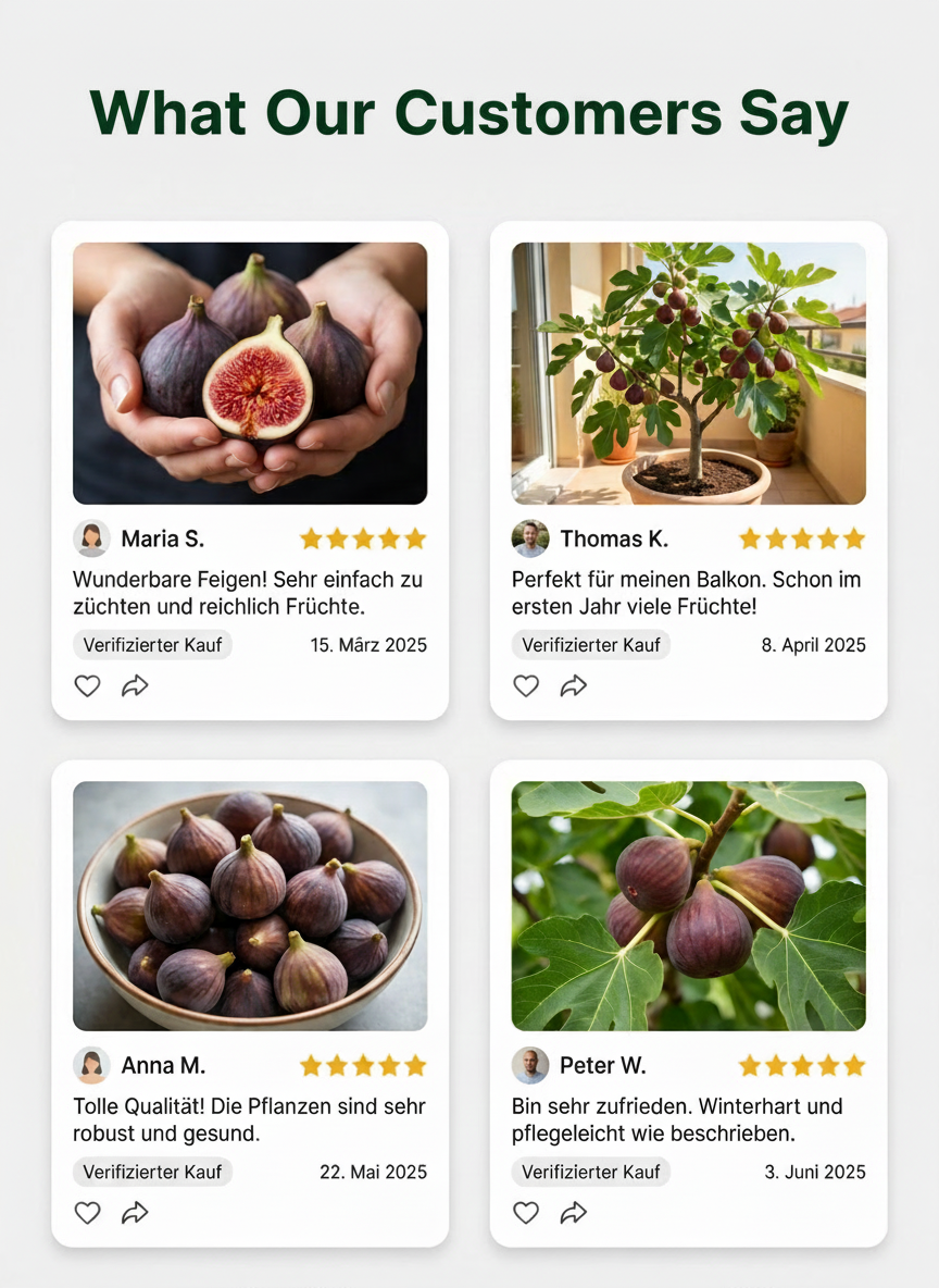 Customer Reviews Grid.png