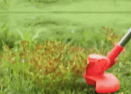 6d460703350b502072bc4e1de3001d42.gif