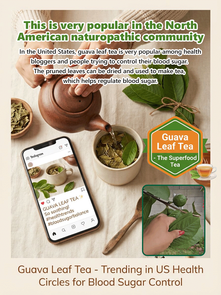 💗【Easy Gardening】🌳PatioPro™ - Thrives in Any Soil, Any Climate! Guaranteed to Thrive or We’ll Replace It!