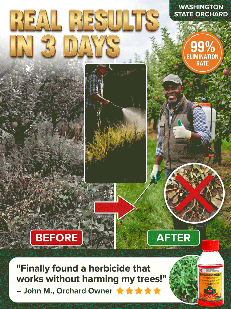 【EcoGuard Formula】🍃BioWeedZero™ - 🛡️Herbicide and root rot control agent！♻️99% Elimination in 3 Hours, ⚡Pet & Kid Safe!！Half Dose, Double Impact. 5-Year Weed Protection！🏅