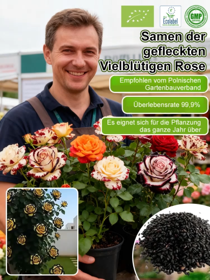 Mehrköpfige gefleckte Rosensamen
