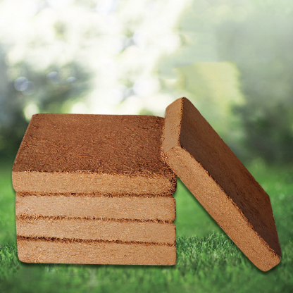 Organischer natürlicher Kokosnuss-Ziegel Pflanzennährboden