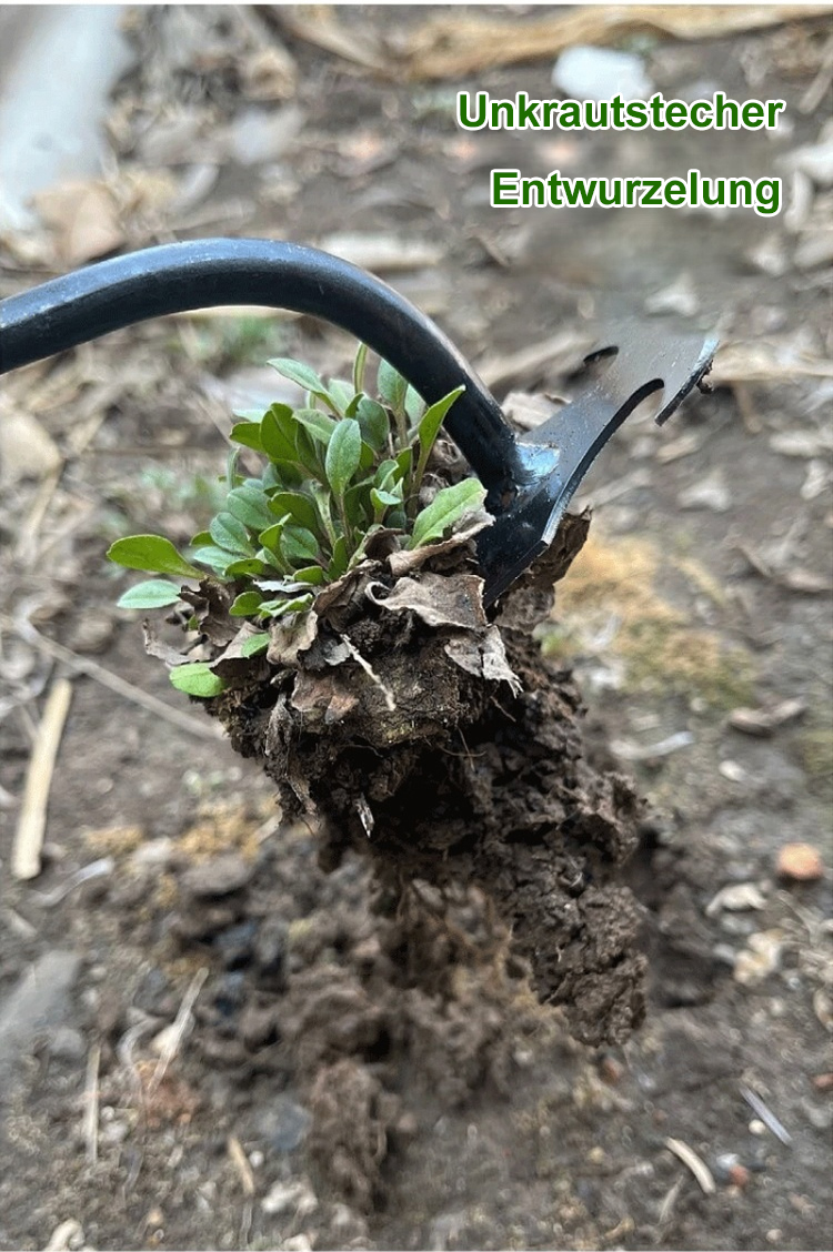 Multifunktionaler Unkrautstecher im Einsatz im Garten
