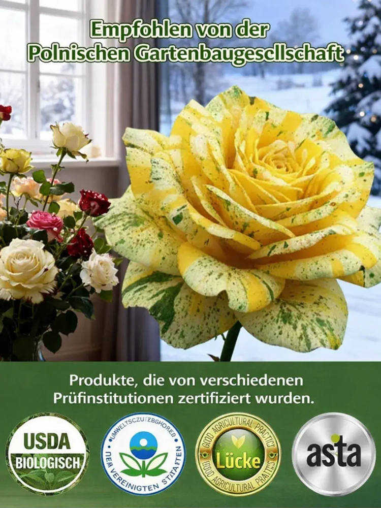 Mehrköpfige gefleckte Rosensamen