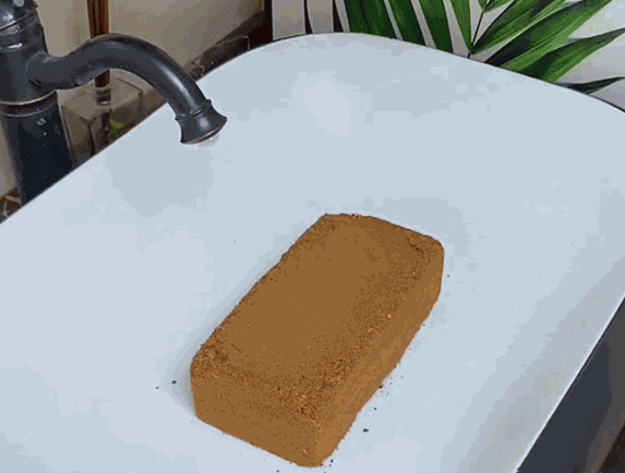 Kokoserde als natürliche Alternative zu Blumenerde