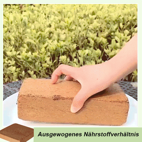 Organischer natürlicher Kokosnuss-Ziegel Pflanzennährboden