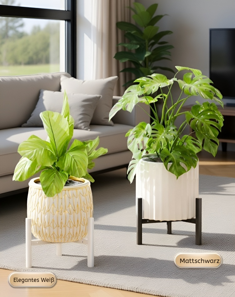 Pflanzenroller mit stabiler Konstruktion