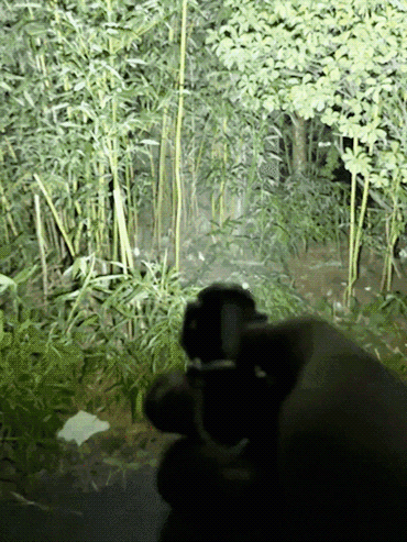 【Werksabverkauf, nur 300 Stück verfügbar】6000 Lumen Profi 3-in-1 Mini-Taschenlampe ❤️14 Tage testen – nicht zufrieden, kostenloser Umtausch