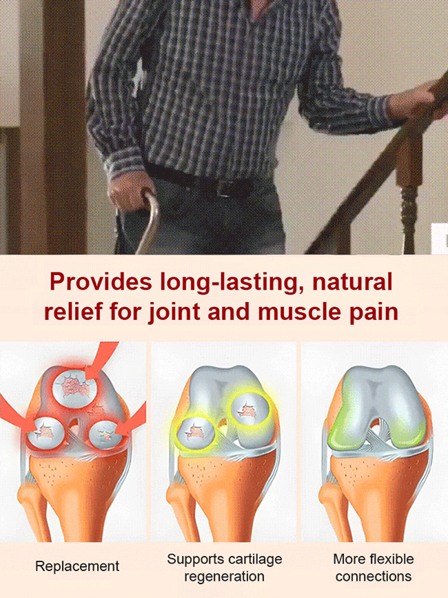 Regina Sweet Cherry Tree Sapling 🍒 Grow & Harvest in May | Self-Pollinating, 100Lbs Yield, Cold Hardy to -20°F