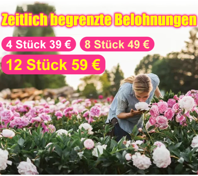 【Eine Pfingstrosen-Zwiebel erfüllt Ihr Zuhause mit Duft】❤ Von -20°C bis 40°C: Gießen reicht! Keine Blüte? Kostenloser Ersatz!