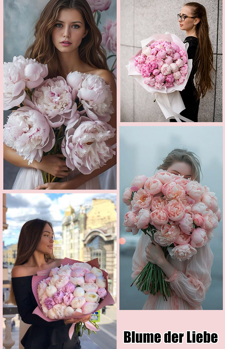 【Eine Pfingstrosen-Zwiebel erfüllt Ihr Zuhause mit Duft】❤ Von -20°C bis 40°C: Gießen reicht! Keine Blüte? Kostenloser Ersatz!