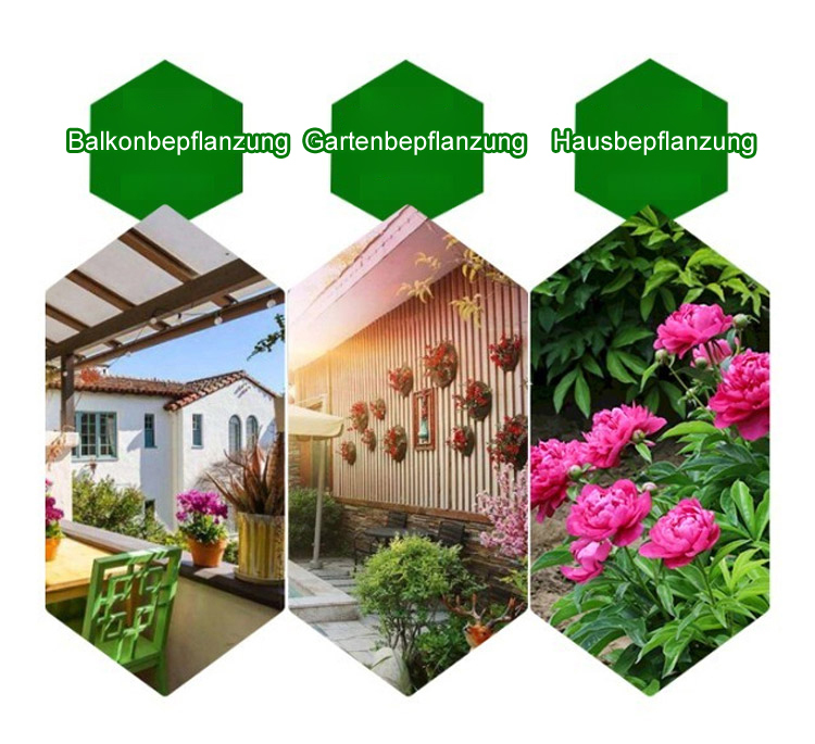 【Eine Pfingstrosen-Zwiebel erfüllt Ihr Zuhause mit Duft】❤ Von -20°C bis 40°C: Gießen reicht! Keine Blüte? Kostenloser Ersatz!