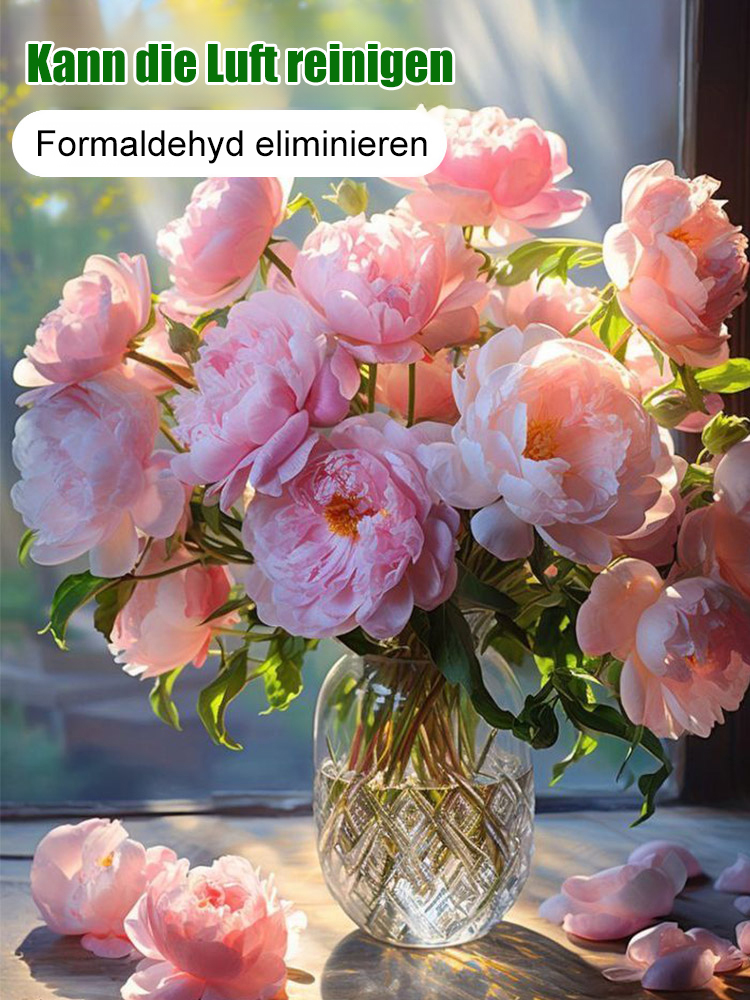 【Eine Pfingstrosen-Zwiebel erfüllt Ihr Zuhause mit Duft】❤ Von -20°C bis 40°C: Gießen reicht! Keine Blüte? Kostenloser Ersatz!