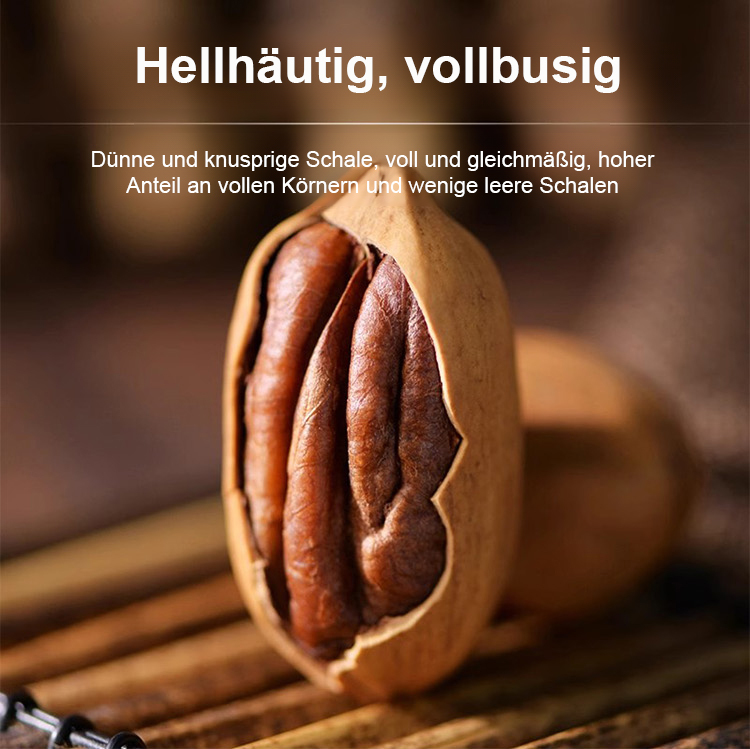 Ausgewählte amerikanische Pekannuss-Setzlinge: hoher Ertrag, pflegeleicht 🌳 Jetzt aussäen, nächstes Jahr ernten! 🌰 Bis zu 3 Ernten pro Jahr.