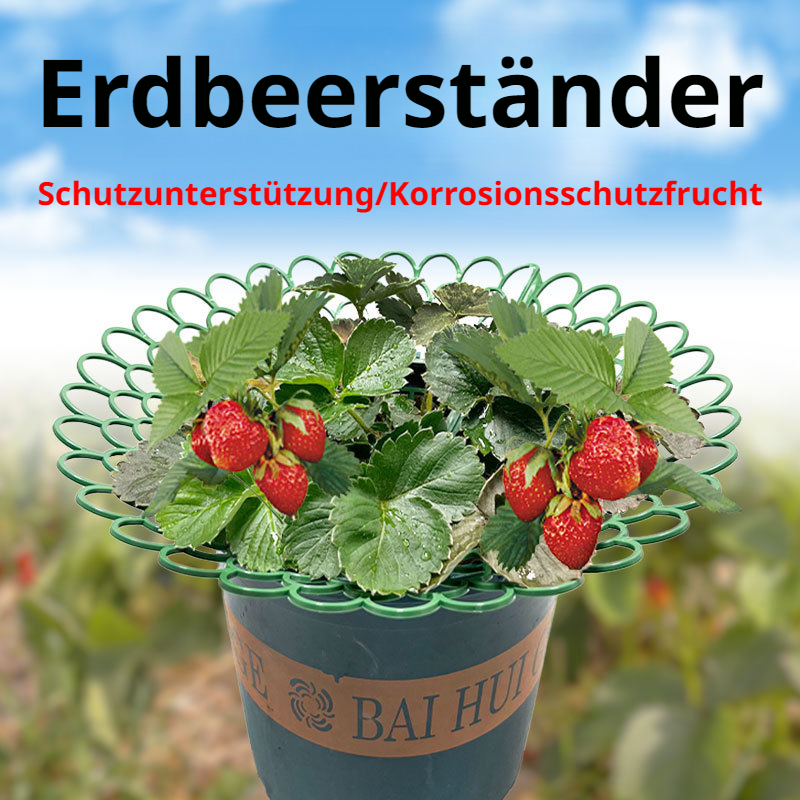BalkonErdbeeranbauer Gartengeräte Tray Potting Strawberry Growing Stand