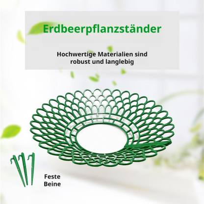 BalkonErdbeeranbauer Gartengeräte Tray Potting Strawberry Growing Stand