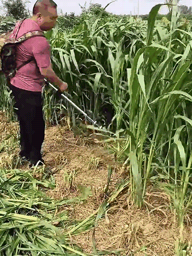 【Über 320.000 verkaufte Einheiten】Bürstenloser, wiederaufladbarer Hochleistungs-Rasenmäher-10 Jahre Garantie