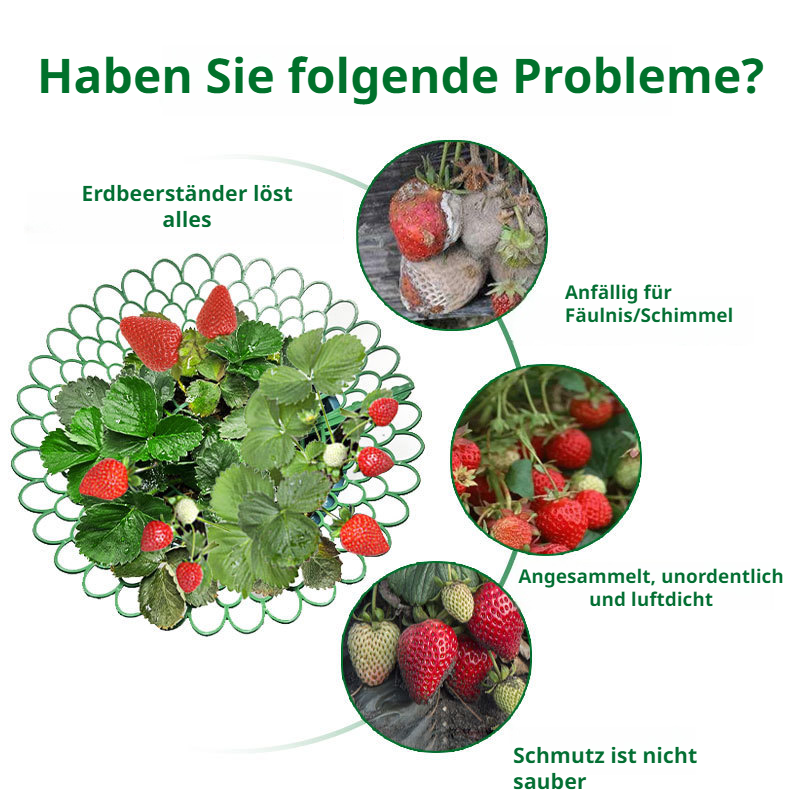 BalkonErdbeeranbauer Gartengeräte Tray Potting Strawberry Growing Stand