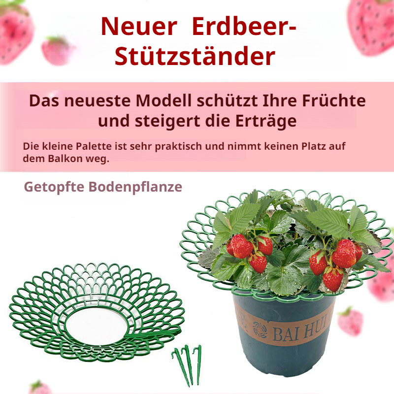 BalkonErdbeeranbauer Gartengeräte Tray Potting Strawberry Growing Stand