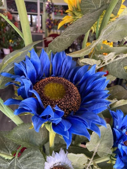 Bright Blue Sunflower Seeds