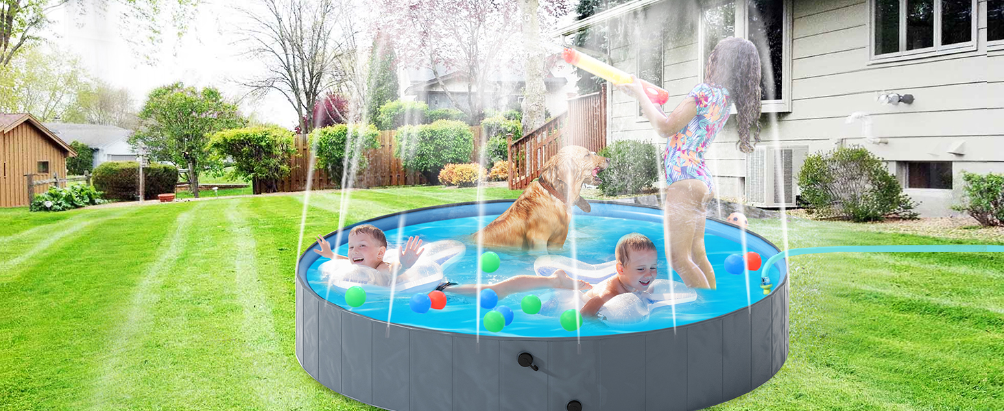 Dog Swimming Pool