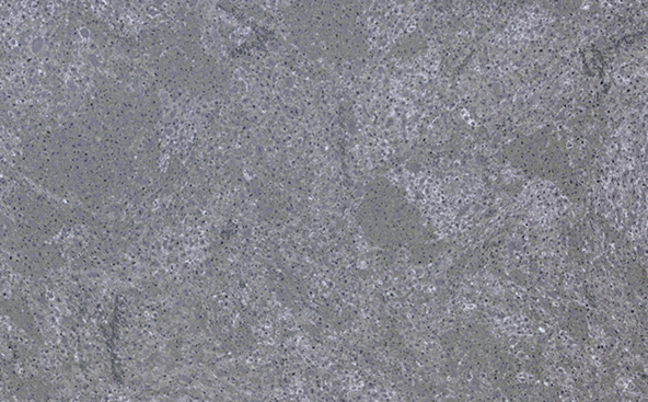 Ardesia Grey Quartz Stone Countertop