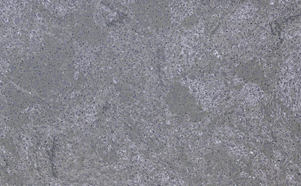 Ardesia Grey Quartz Stone Countertop