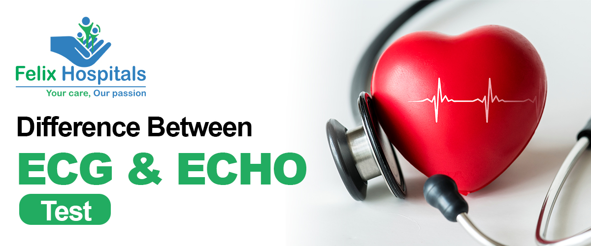 difference-between-ecg-and-echo-test.jpg