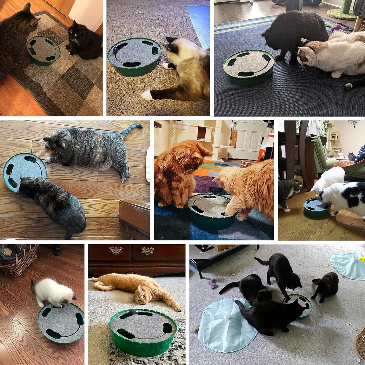 Pawaboo Interactive Cat Toy With Running Mouse, Electronic Motion Automatic Teaser for Indoor Cats, Pop and Play Hide Seek Hunting Mouse for Pet Kitten Play Fun Exercise