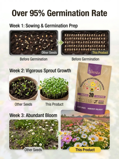 Easy-to-grow mixed flower seeds【A mix of 20 high-end flower varieties, containing 19,000 seeds with a germination rate of 98.9%!】