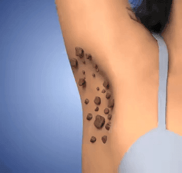 Honeycam 2025-12-25 18-24-48.gif