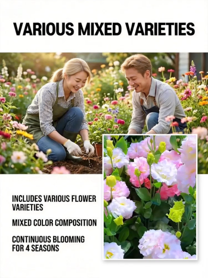 Easy-to-grow mixed flower seeds【A mix of 20 high-end flower varieties, containing 19,000 seeds with a germination rate of 98.9%!】