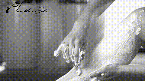 8e0569fa379d524935227811a9aef1de.gif