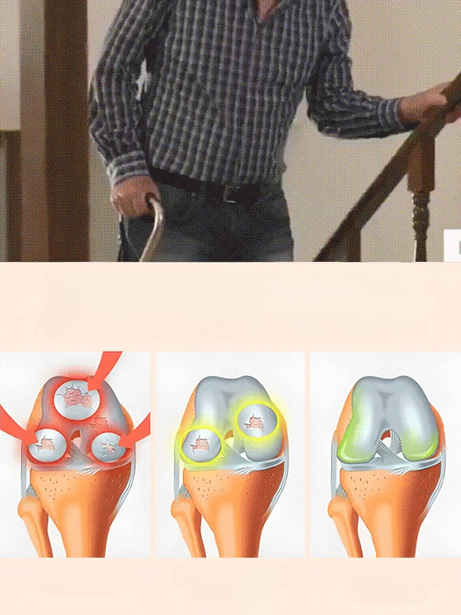 【Results from that year】Cherry saplings