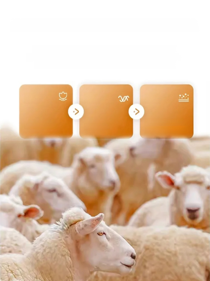 Extended warm cashmere knee pads