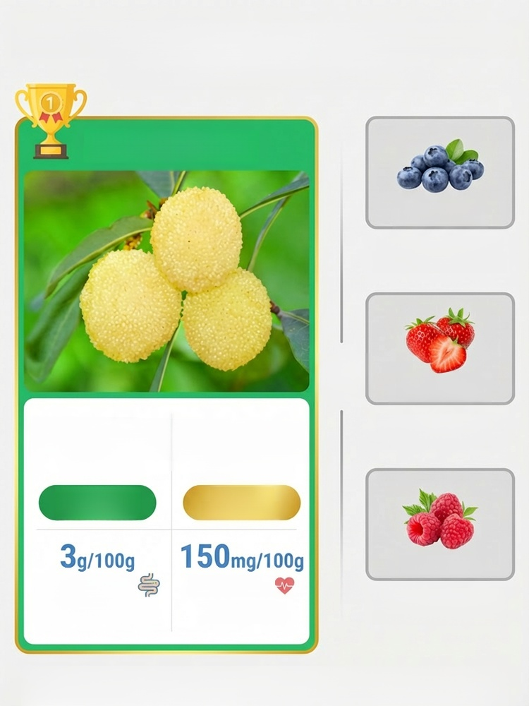 High-Yield Crystal White Bayberry Sapling – Pest Resistant, Fruits in First Year