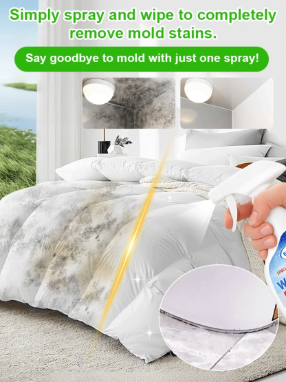 Wall anti-mildew and spot removal spray