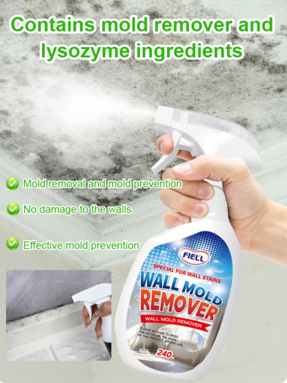 Wall anti-mildew and spot removal spray
