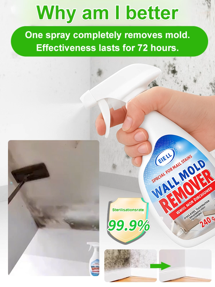 Wall anti-mildew and spot removal spray