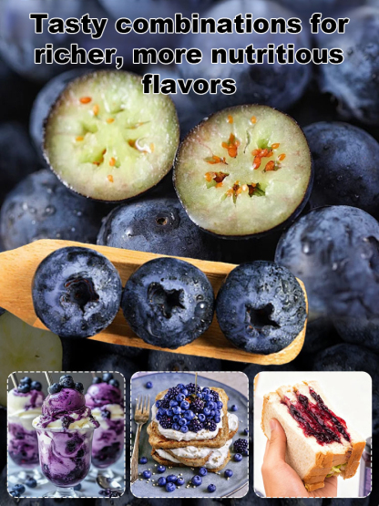 【Full Refund for Non-Living】Extra Large Fruit High-Yield Organic Blueberry Seedlings