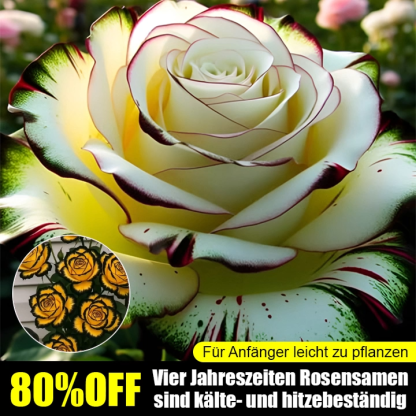 Importierte gefleckte Rosenkörner – 99% Keimrate, 100% Entschädigung bei mangelndem Wachstum