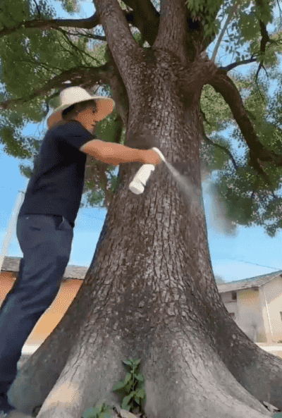 视频 (3).gif